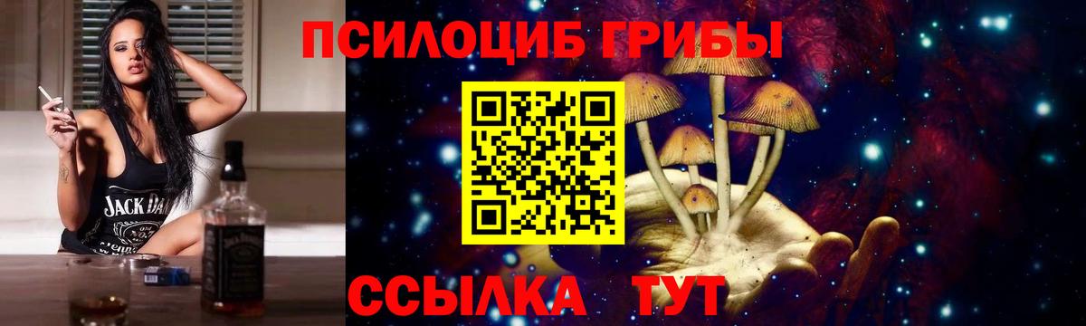 Галлюциногенные грибы Psilocybine cubensis  Вход с VPN  Курчатов 